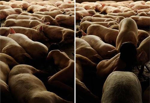 微信牛牛 性生活前，一定要做好这些准备-灵感源码社区