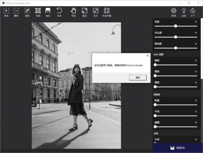 Picture Colorizer v2.4.0-灵感源码社区